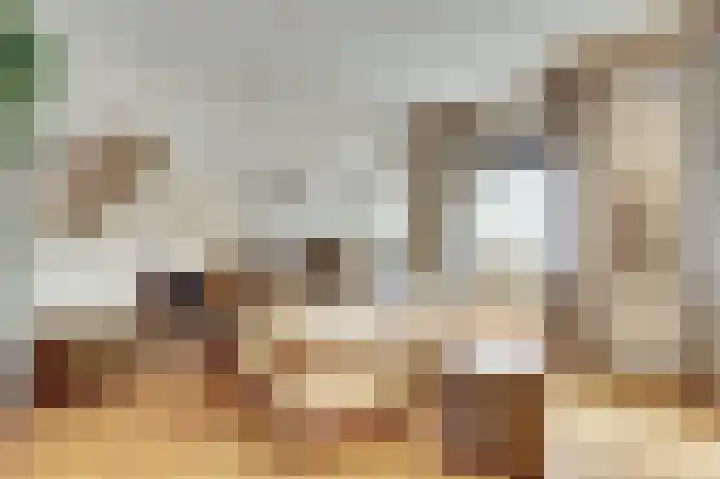 Manegelaan 2 Dronten thumbnail 17