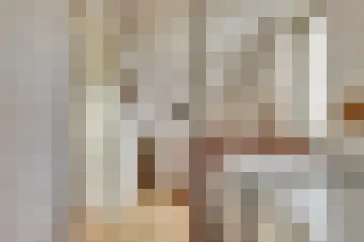 Manegelaan 2 Dronten thumbnail 26