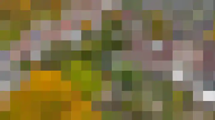Manegelaan 2 Dronten thumbnail 37