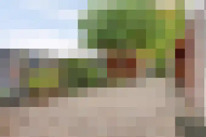 Manegelaan 2 Dronten thumbnail 39