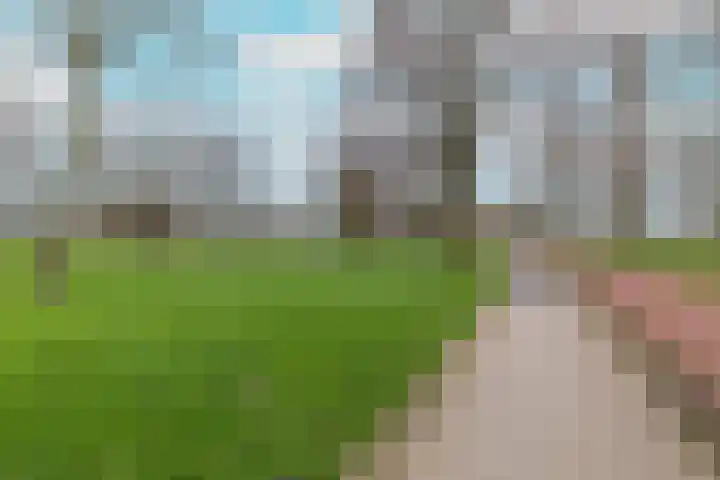 Manegelaan 2 Dronten thumbnail 4