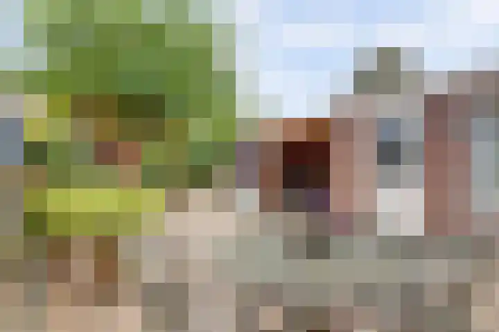 Manegelaan 2 Dronten thumbnail 40