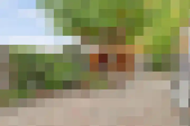 Manegelaan 2 Dronten thumbnail 44