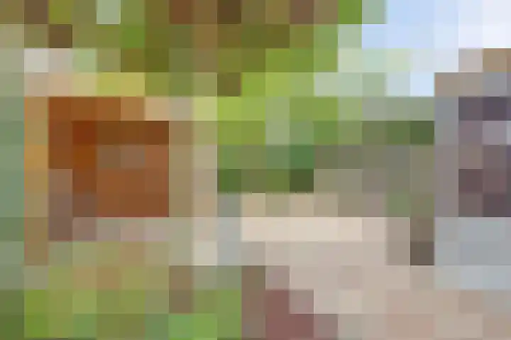 Manegelaan 2 Dronten thumbnail 46