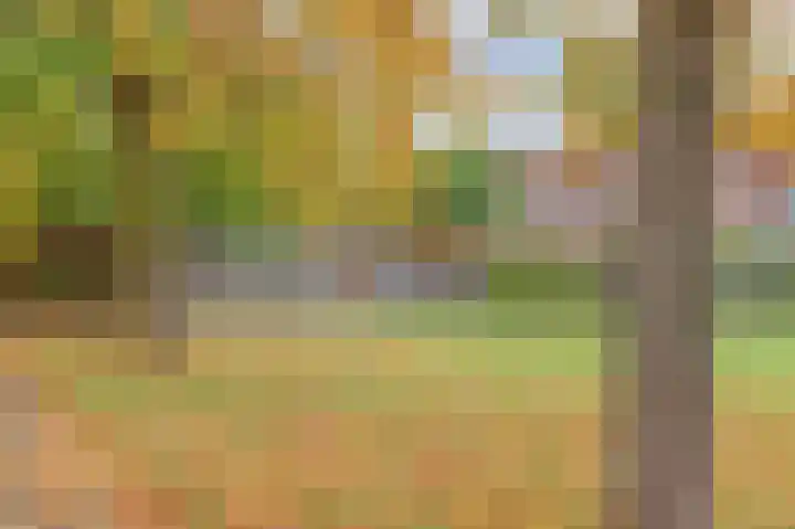 Manegelaan 2 Dronten thumbnail 49