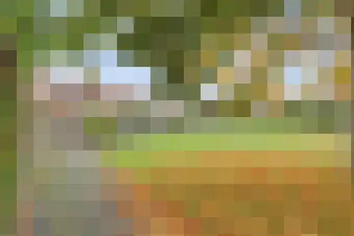 Manegelaan 2 Dronten thumbnail 50