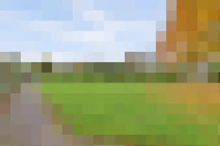 Manegelaan 2 Dronten thumbnail 51