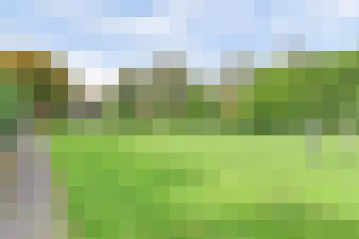 Manegelaan 2 Dronten thumbnail 52