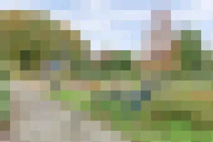 Manegelaan 2 Dronten thumbnail 54