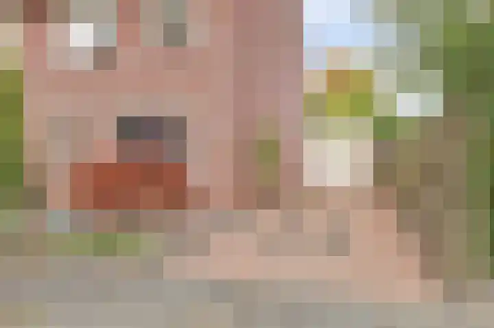 Manegelaan 2 Dronten thumbnail 57
