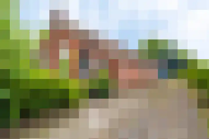 Manegelaan 2 Dronten thumbnail 9