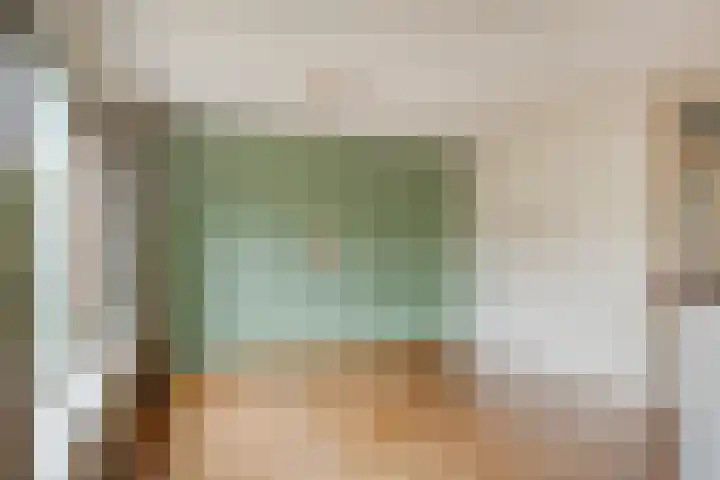 Manegelaan 21 Dronten thumbnail 14