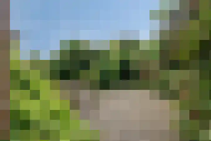 Manegelaan 21 Dronten foto 3