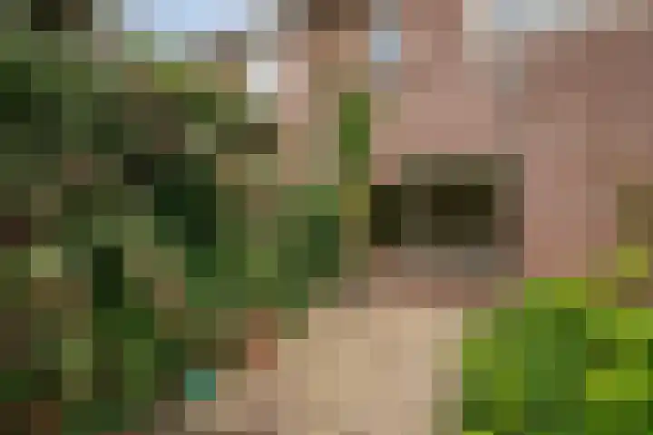 Manegelaan 21 Dronten thumbnail 37