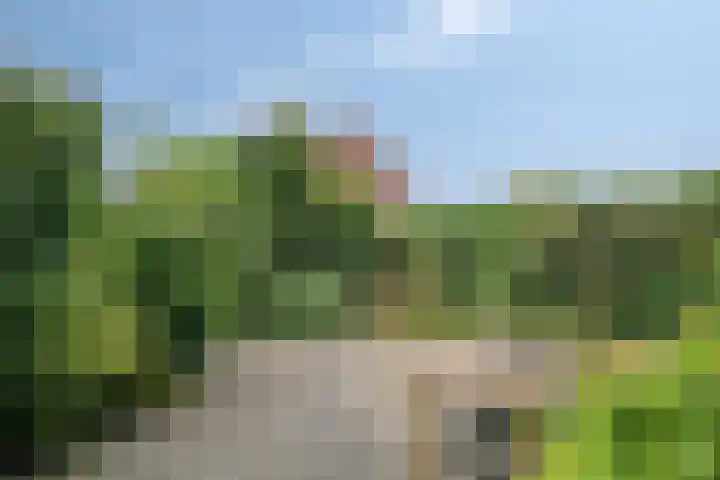 Manegelaan 21 Dronten thumbnail 39