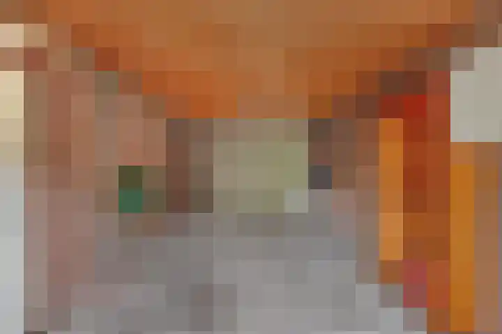 Manegelaan 21 Dronten thumbnail 40