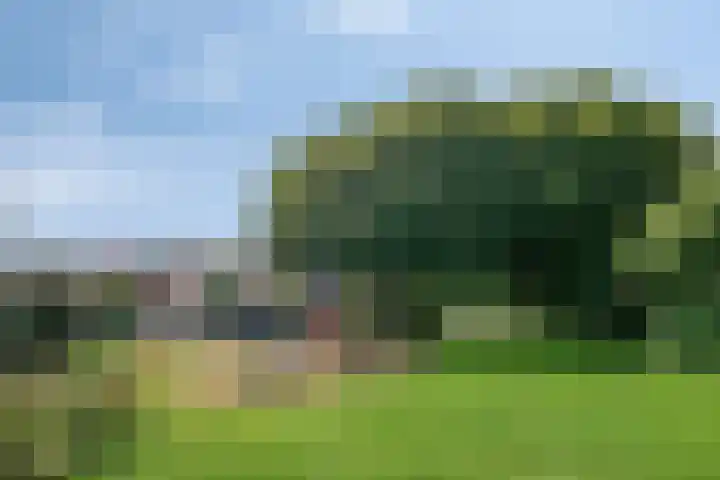 Manegelaan 21 Dronten thumbnail 42