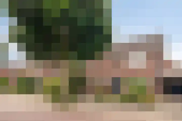 Manegelaan 21 Dronten thumbnail 5