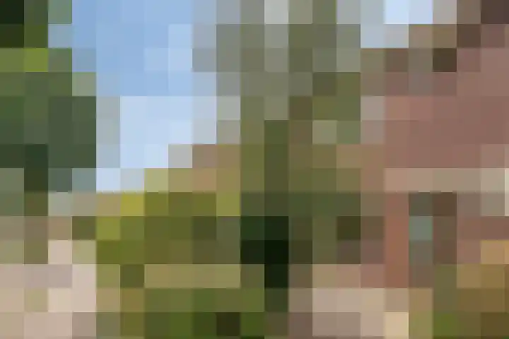 Manegelaan 21 Dronten thumbnail 6