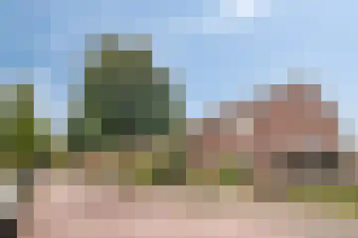 Manegelaan 21 Dronten thumbnail 7