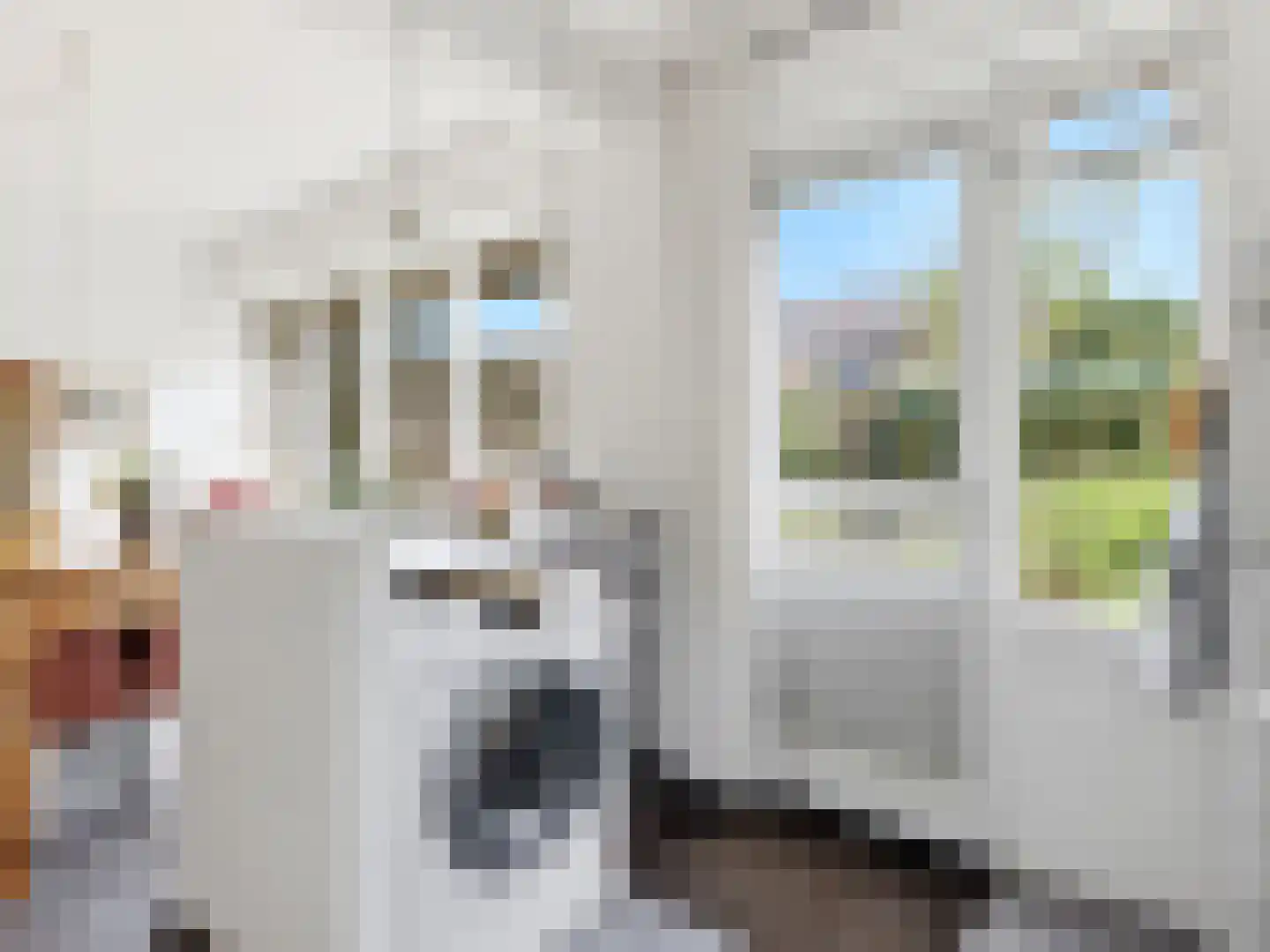 Manegelaan 21 Gorssel thumbnail 10
