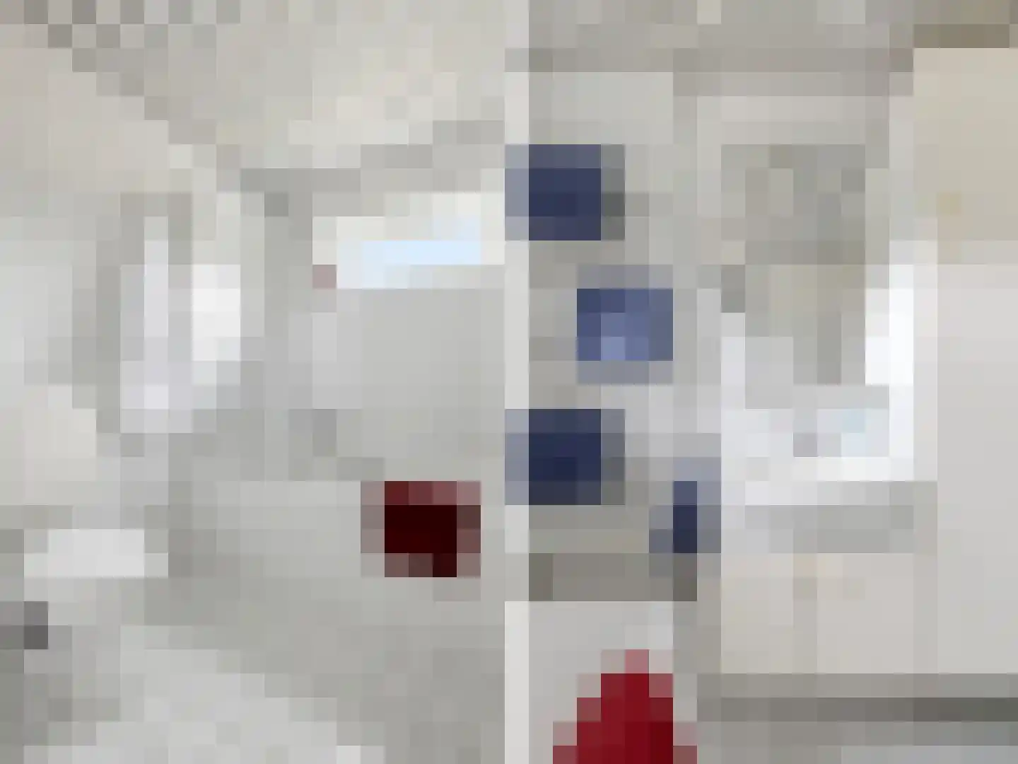 Manegelaan 21 Gorssel thumbnail 16