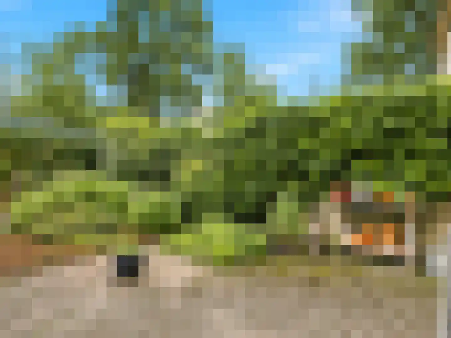 Manegelaan 21 Gorssel thumbnail 27