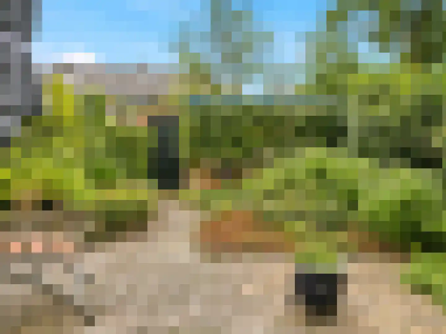 Manegelaan 21 Gorssel thumbnail 29