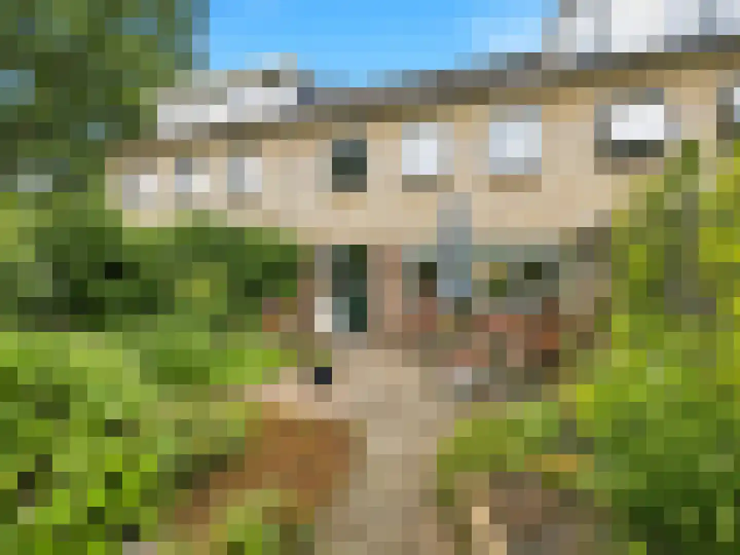 Manegelaan 21 Gorssel thumbnail 30