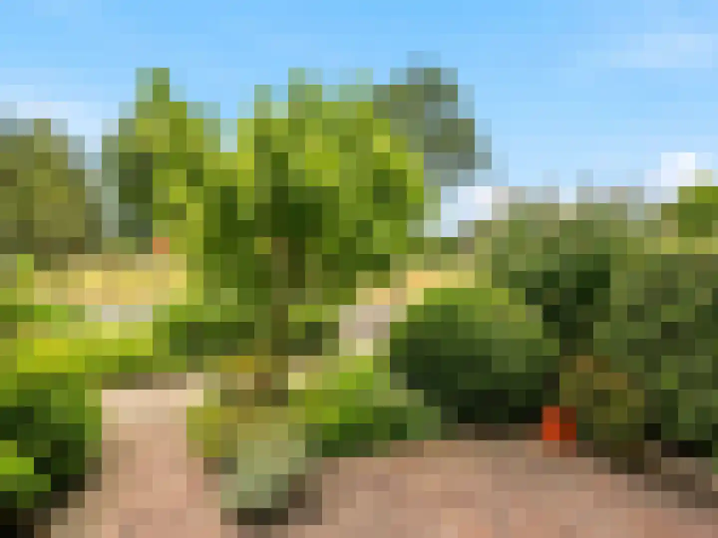 Manegelaan 21 Gorssel thumbnail 31