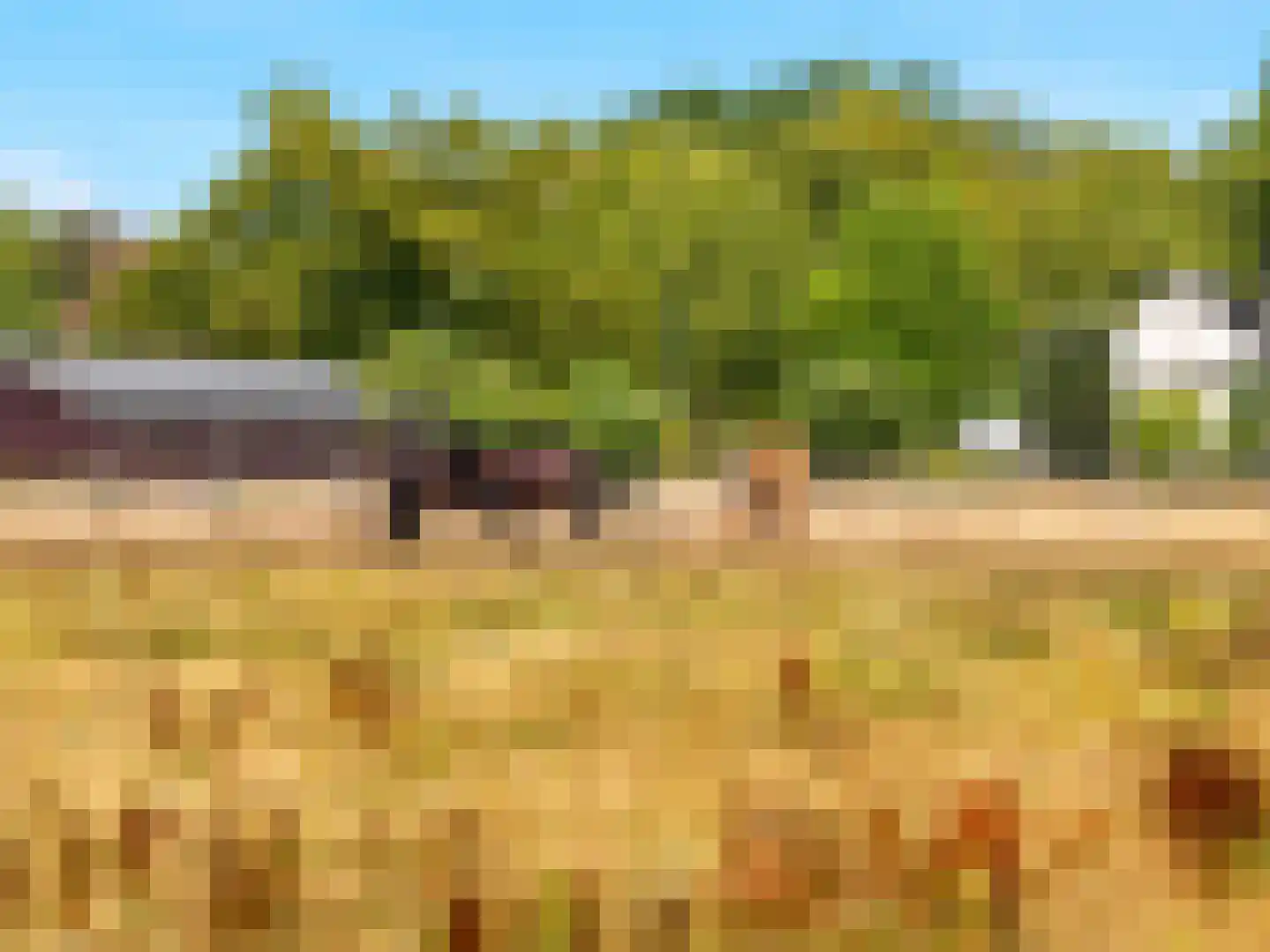 Manegelaan 21 Gorssel thumbnail 35