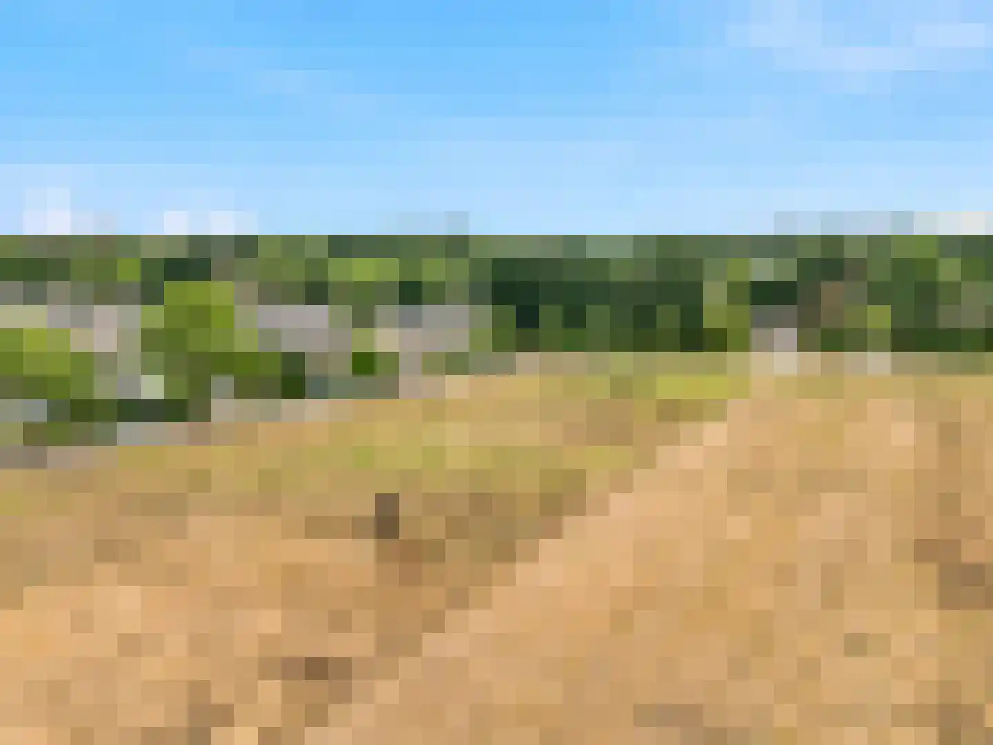 Manegelaan 21 Gorssel thumbnail 37