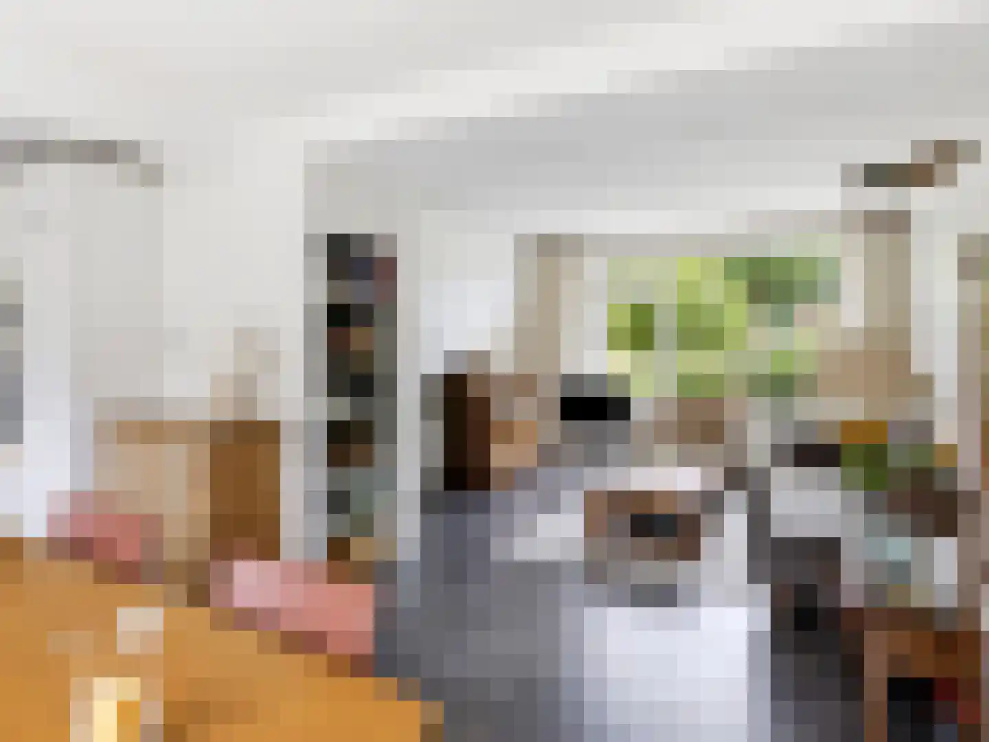 Manegelaan 21 Gorssel thumbnail 7