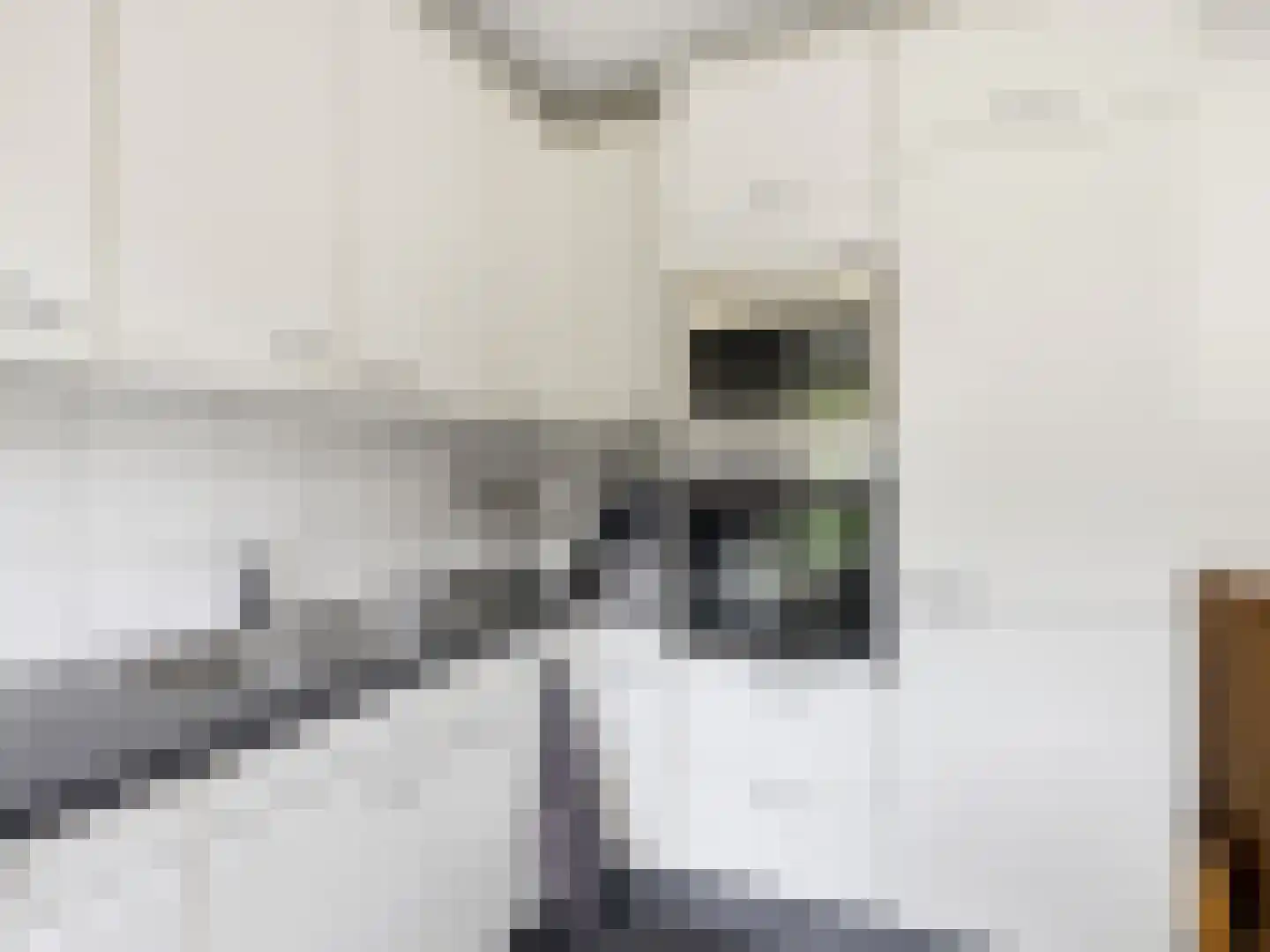 Manegelaan 21 Gorssel thumbnail 9