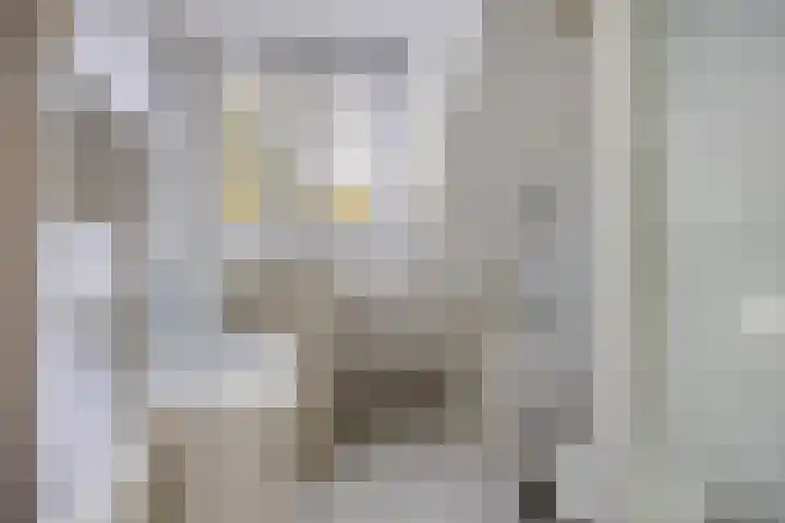 Manegelaan 25 Hoofddorp thumbnail 16