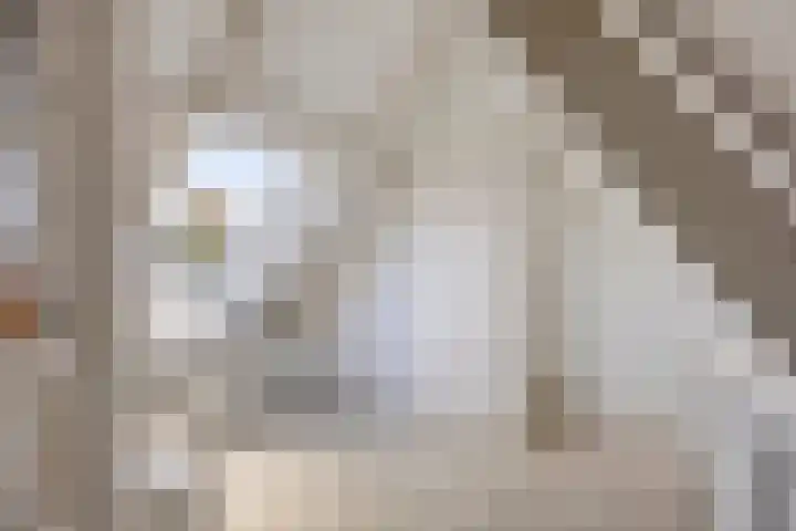 Manegelaan 25 Hoofddorp thumbnail 21
