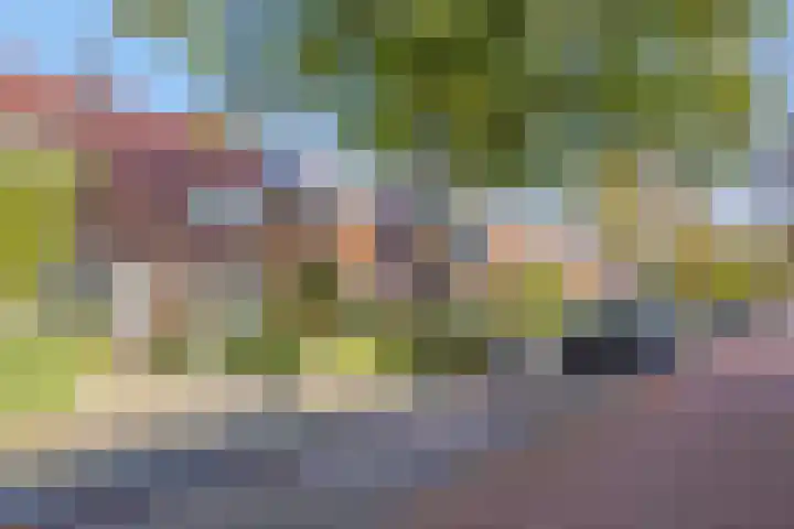 Manegelaan 25 Hoofddorp thumbnail 4