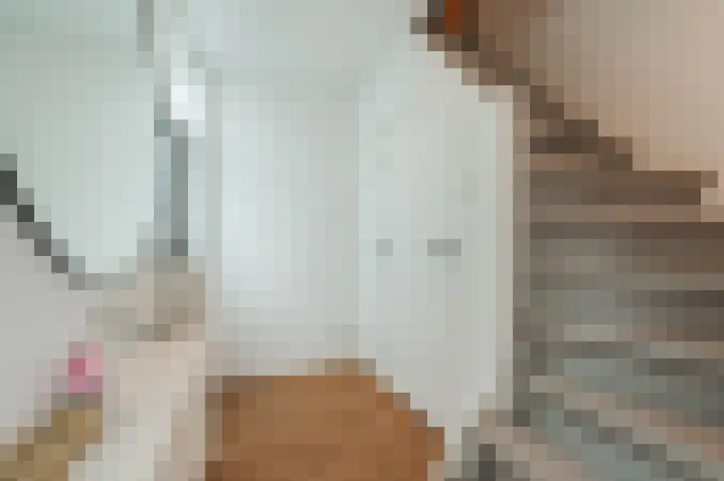 Manegelaan 26 Hoofddorp thumbnail 20