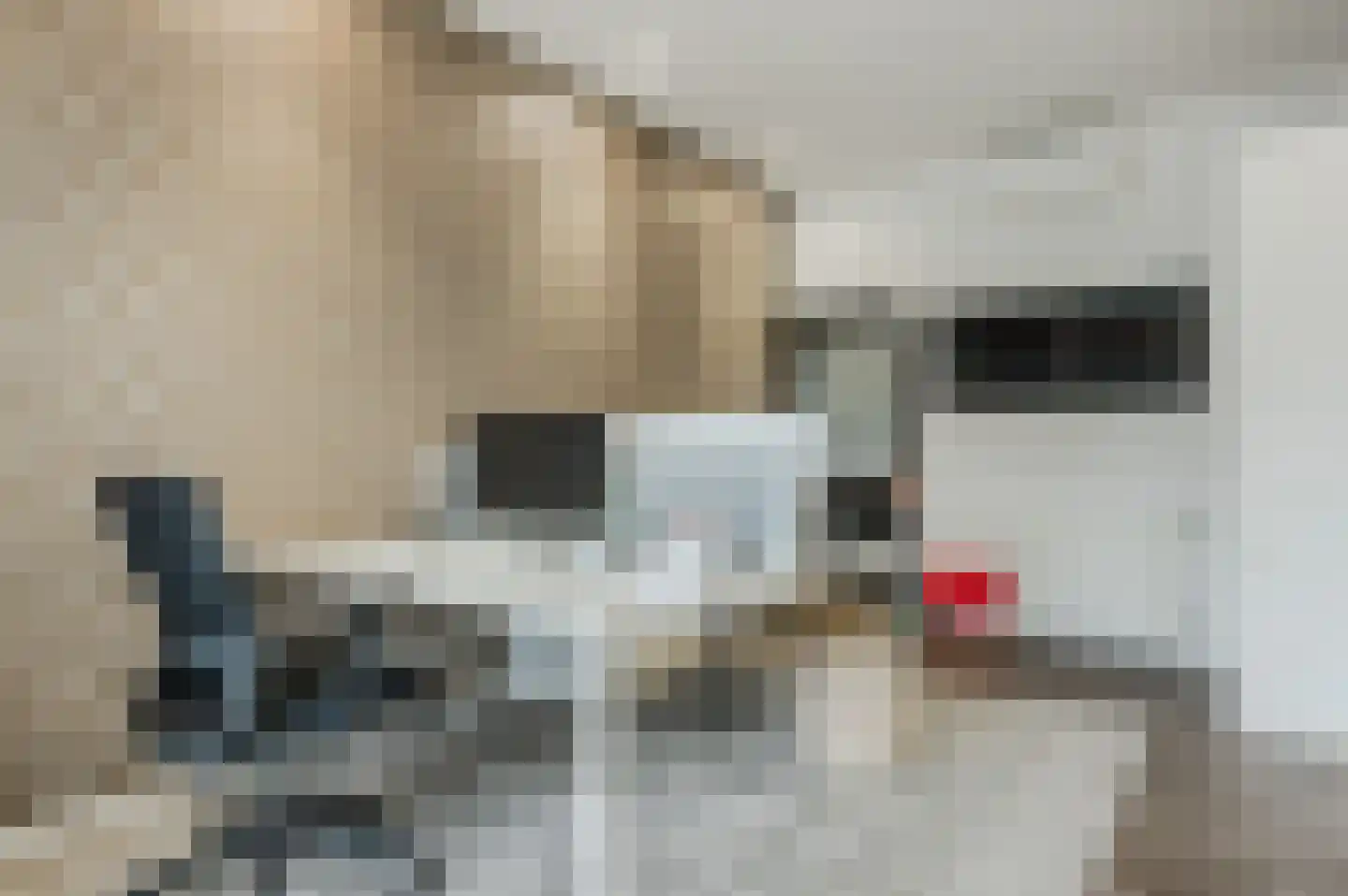 Manegelaan 26 Hoofddorp thumbnail 21