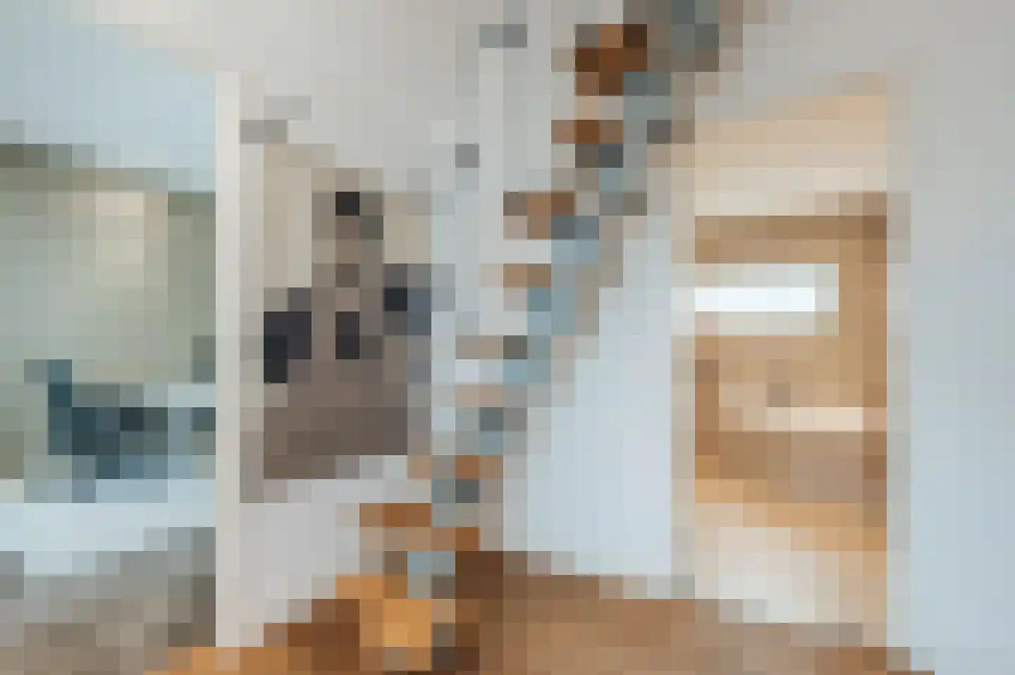 Manegelaan 26 Hoofddorp thumbnail 23