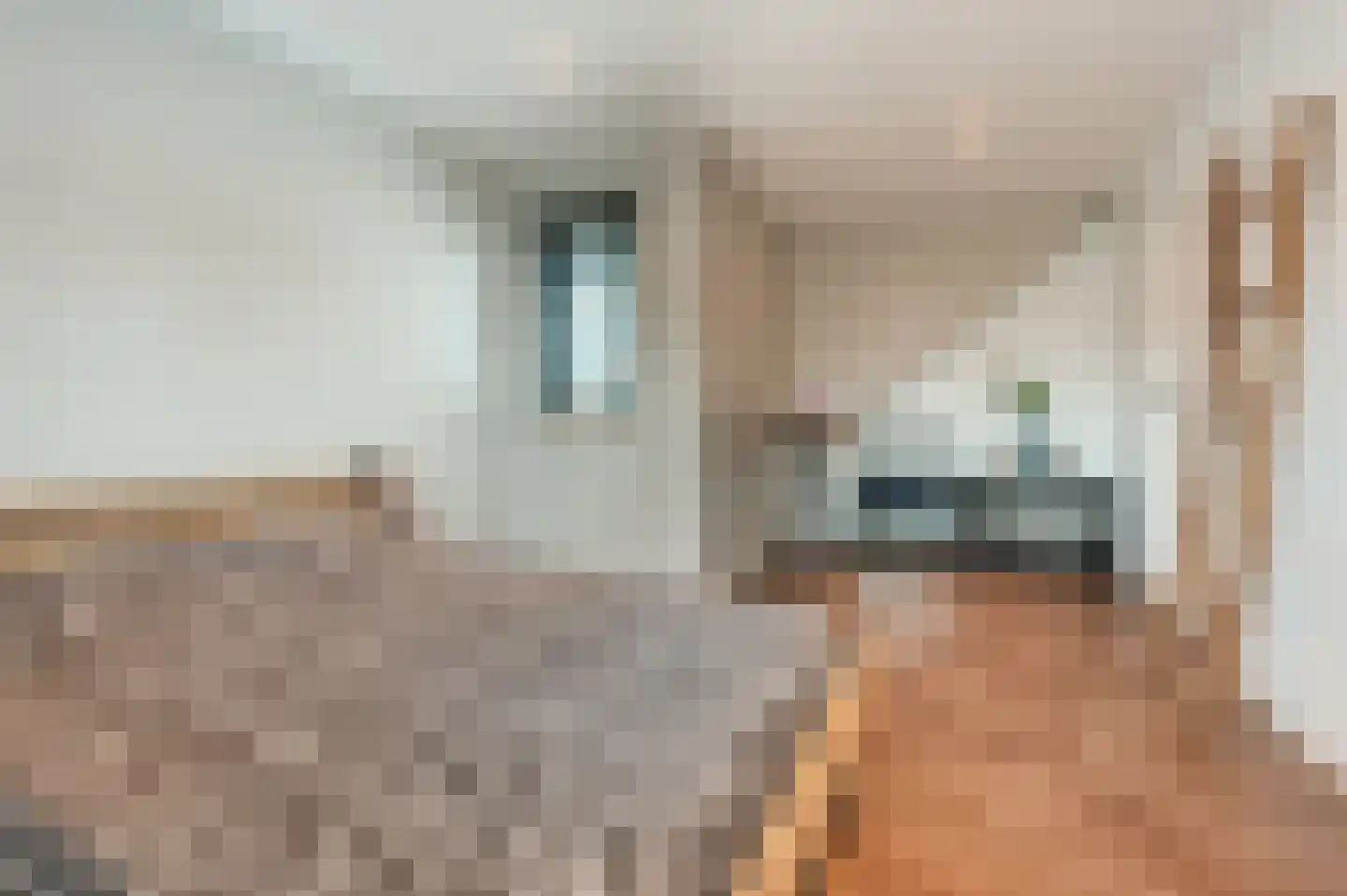 Manegelaan 26 Hoofddorp thumbnail 30