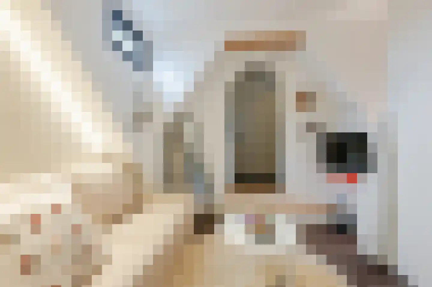 Manegelaan 26 Hoofddorp thumbnail 32