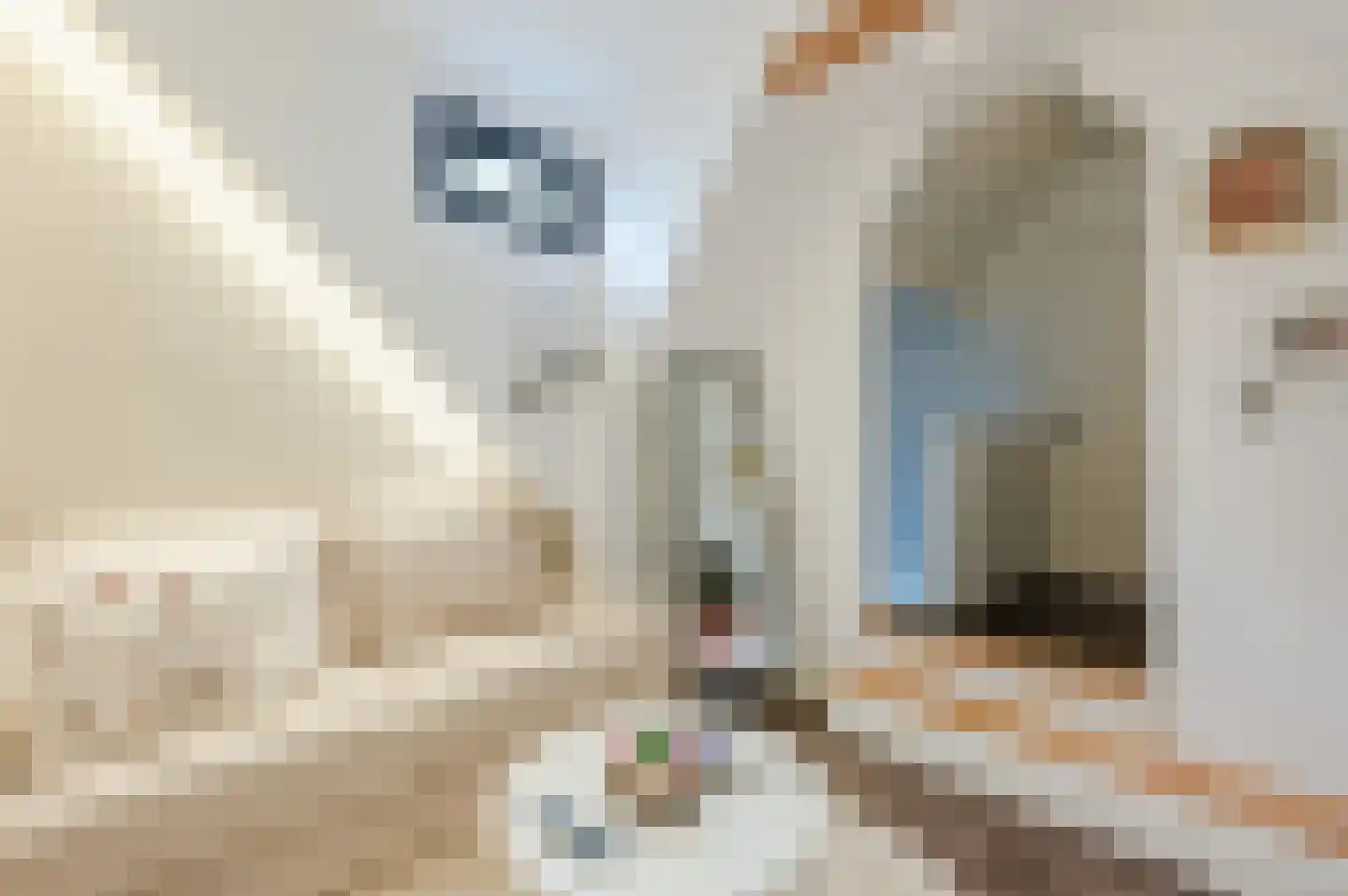 Manegelaan 26 Hoofddorp thumbnail 33