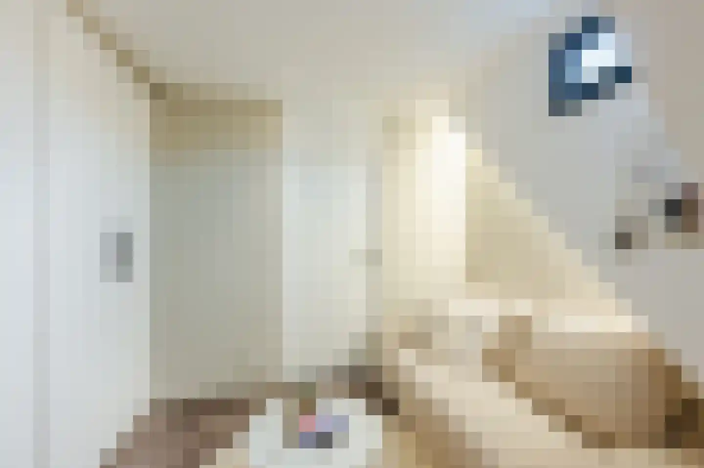 Manegelaan 26 Hoofddorp thumbnail 34