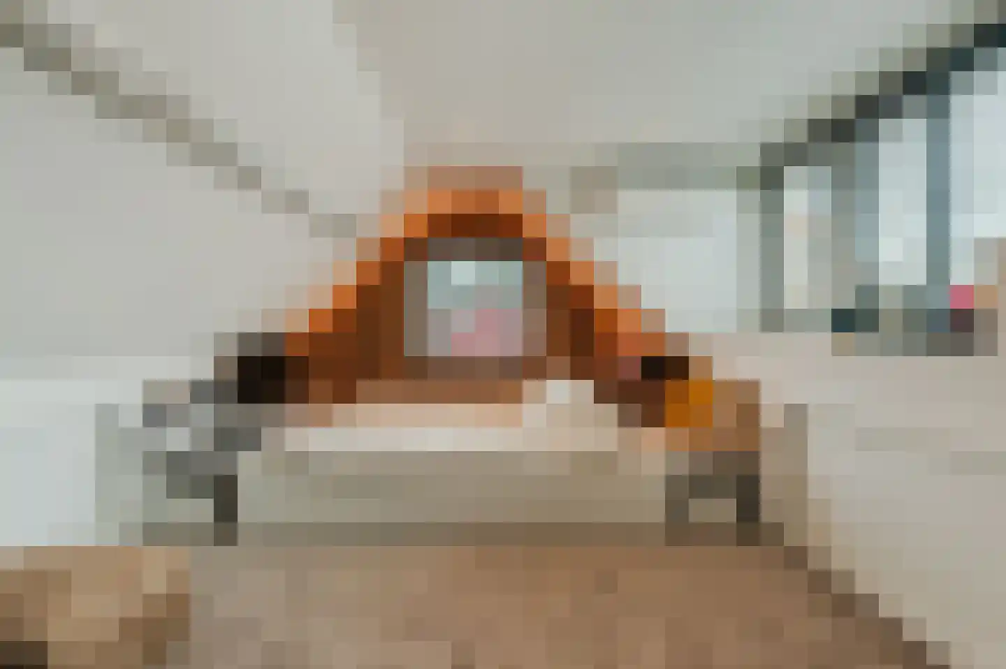 Manegelaan 26 Hoofddorp thumbnail 37