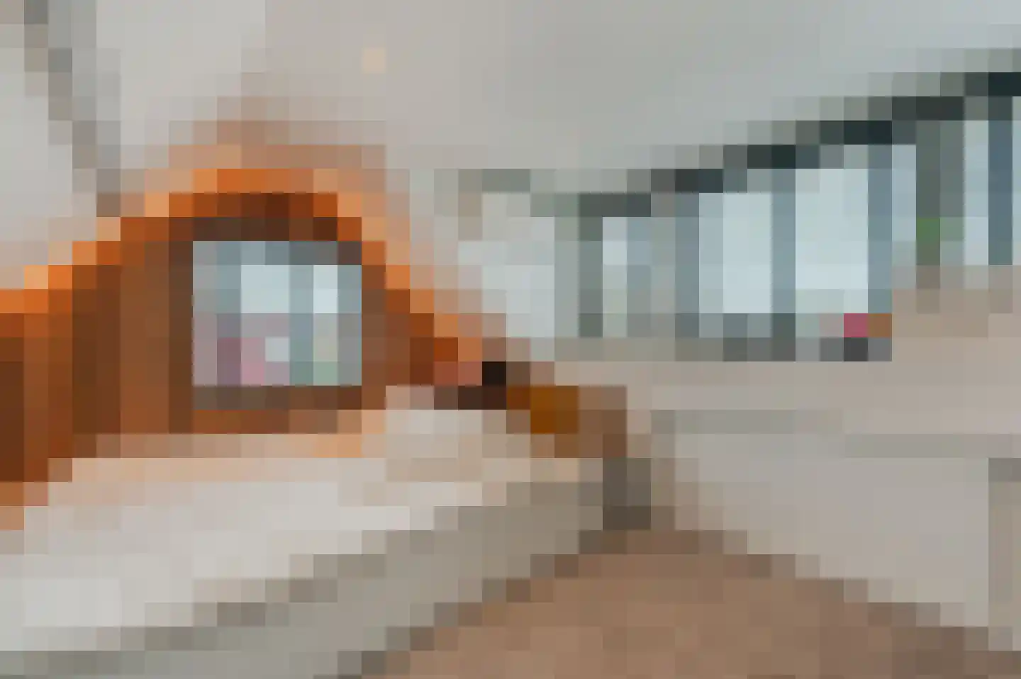 Manegelaan 26 Hoofddorp thumbnail 39