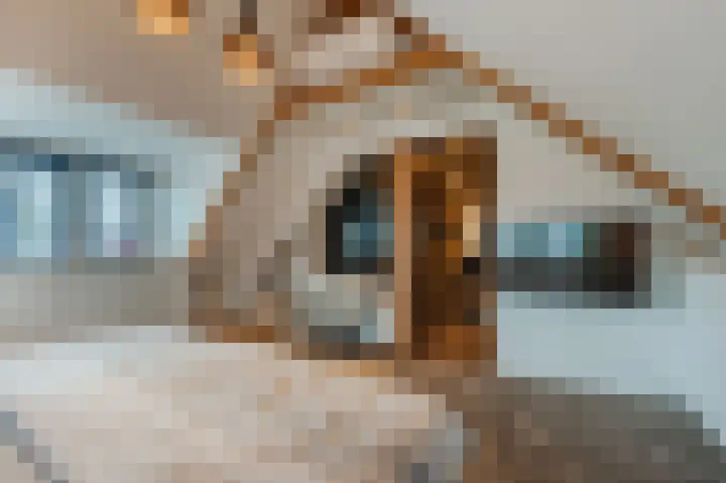 Manegelaan 26 Hoofddorp thumbnail 43