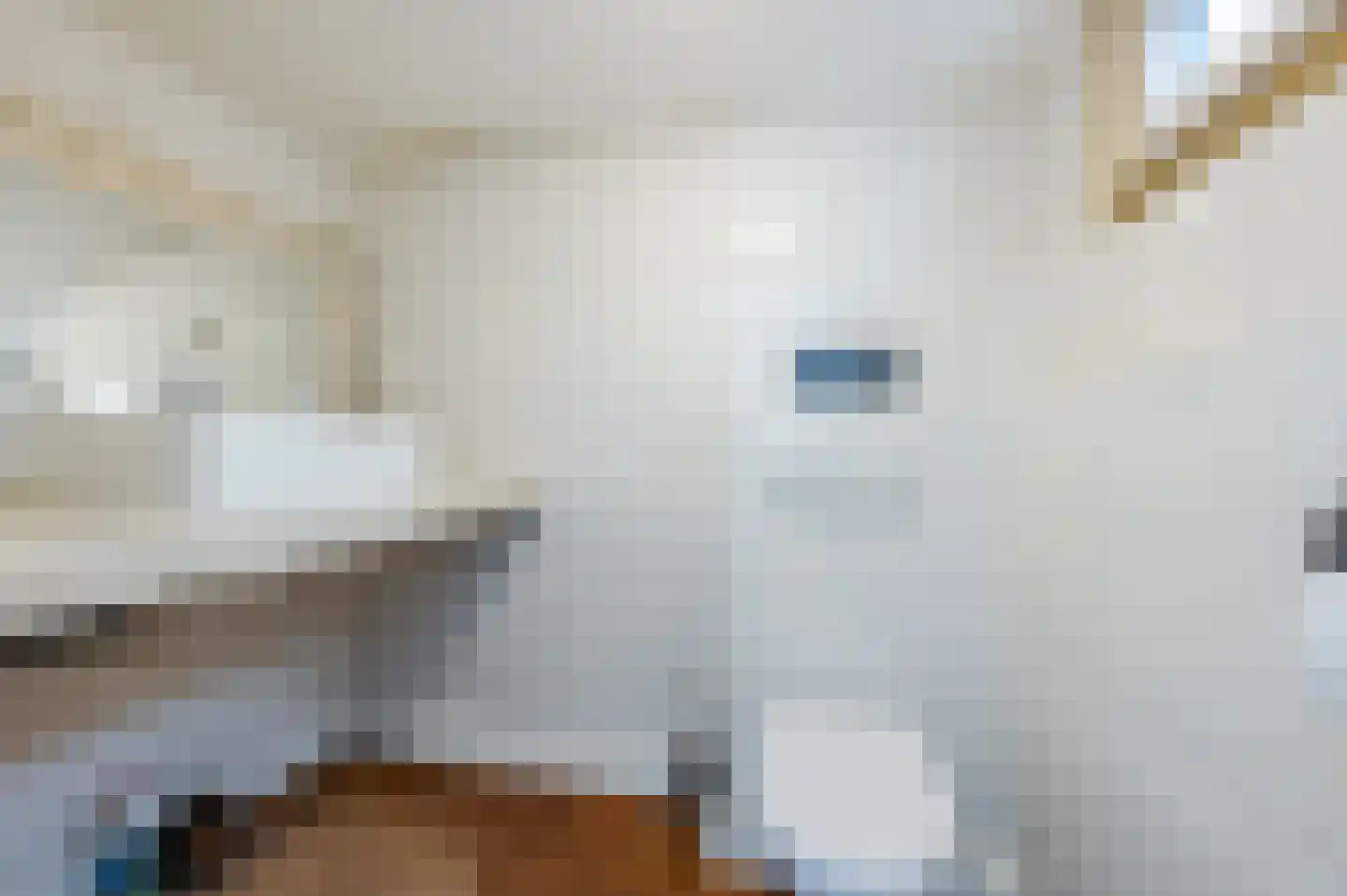Manegelaan 26 Hoofddorp thumbnail 48