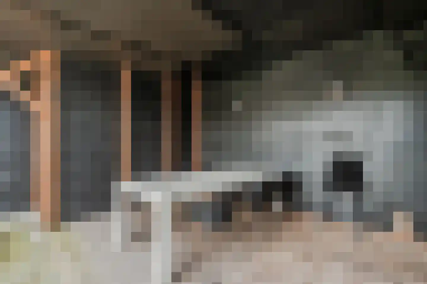 Manegelaan 26 Hoofddorp thumbnail 51
