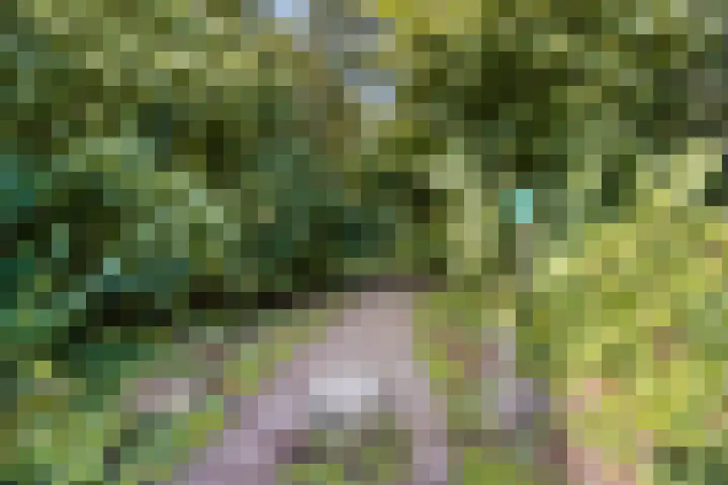 Manegelaan 31 Dronten thumbnail 32
